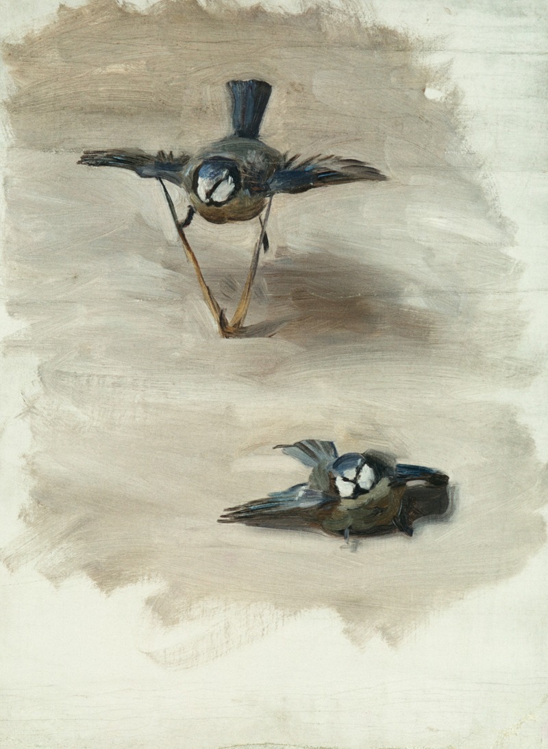 John Singer Sargent - Studies of a Dead Bird