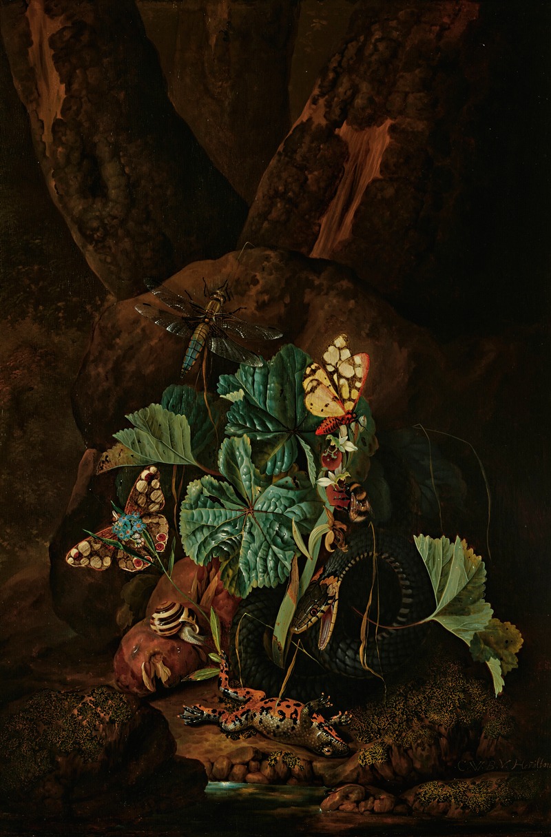 Karl Wilhelm De Hamilton - A forest floor with a snake, frog, snail, butterflies and other insects