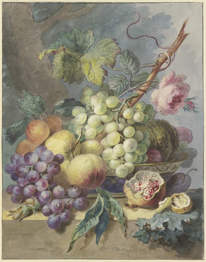 Willem van Leen - Fruchtstück mit Trauben, Pfirsichen usw., dabei eine Rose
