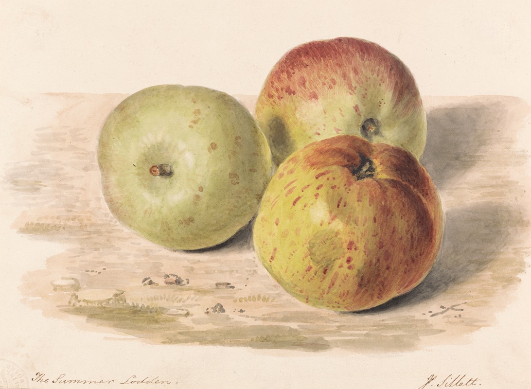 James Sillett - The Summer Lodden, Sept. 1832; A Still Life Study of Three Apples