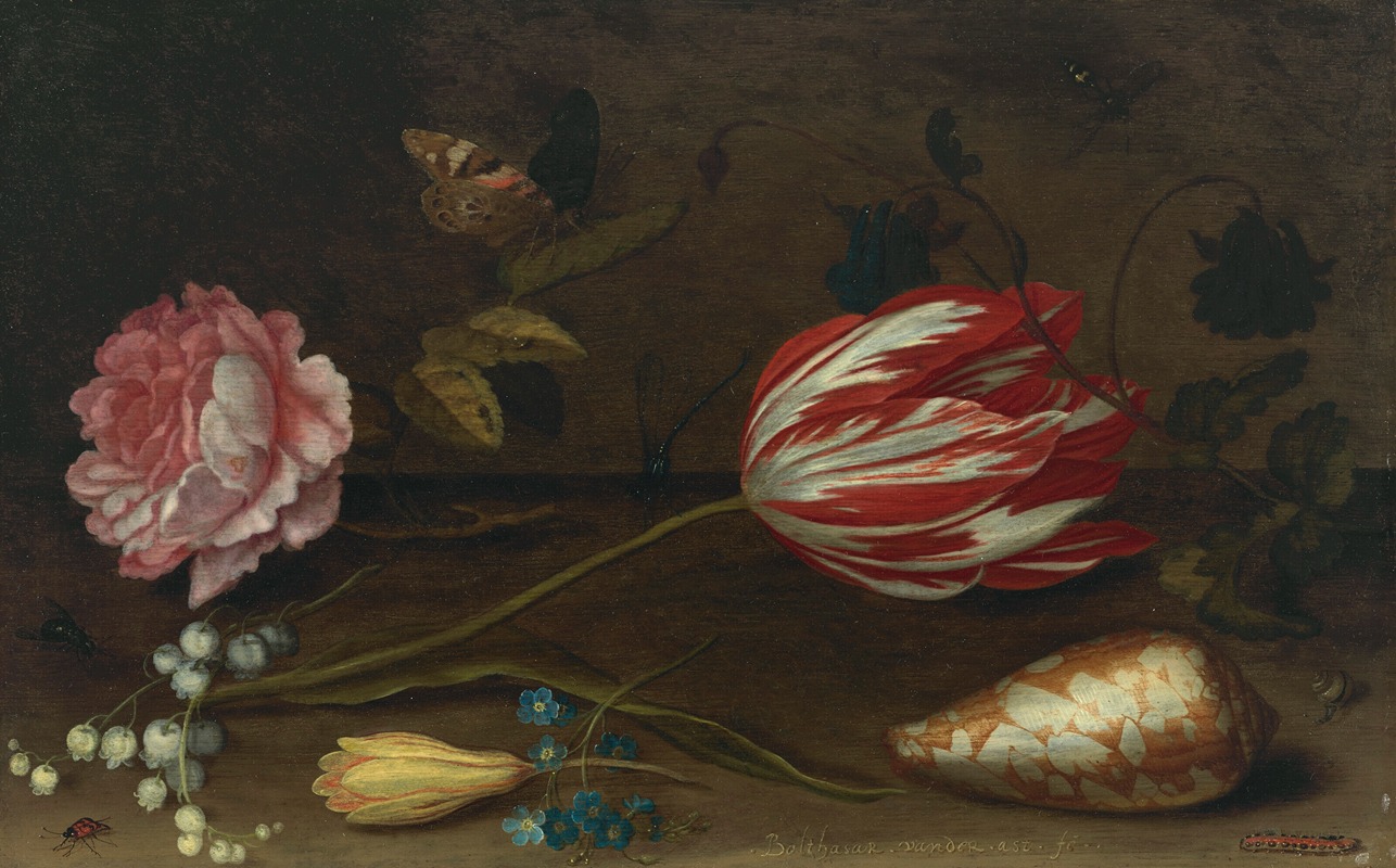 Balthasar van der Ast - A rose, a tulip, insects, and a shell on a ledge
