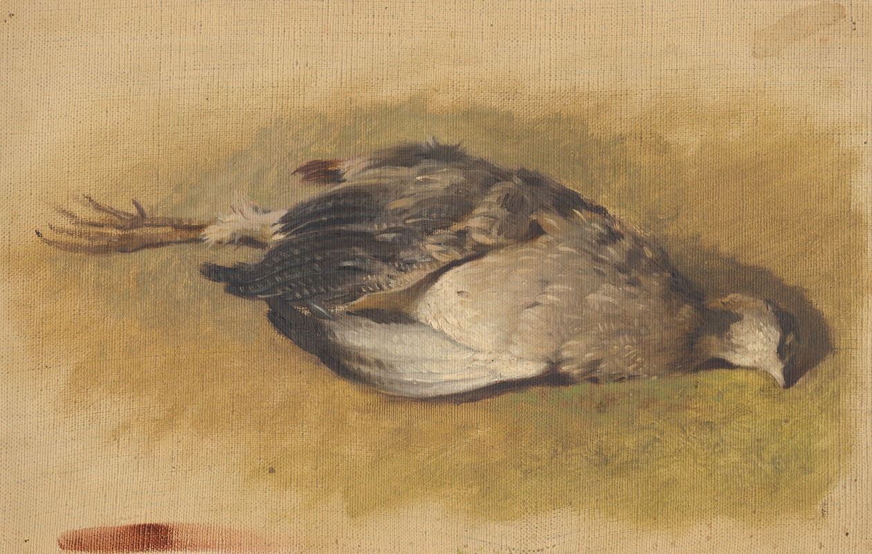 Friedrich Carl von Scheidlin - Sketch of a Dead Partridge