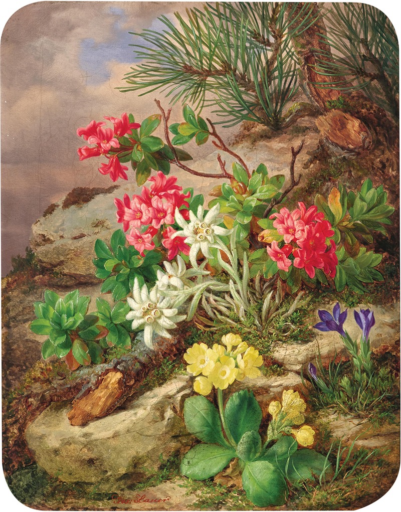 Josef Lauer - Alpenblumen