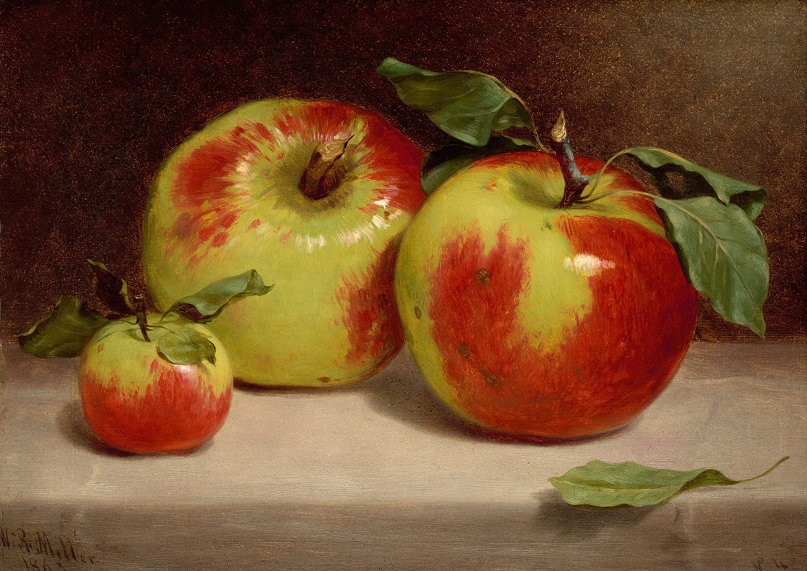 William Rickarby Miller - Study of Apples from Nature