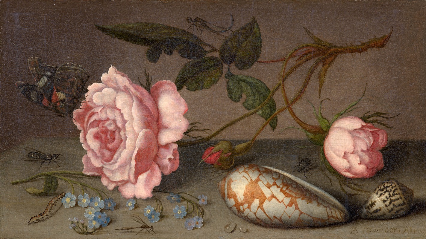 Balthasar van der Ast - Roses, coquillages et insectes sur une table