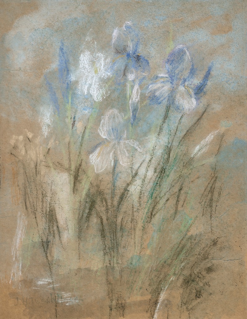 John Henry Twachtman - Irises