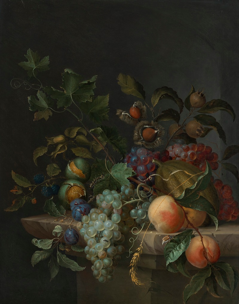 Pieter Gallis - Grapes, peaches, plums, blackberries, rosehips, a melon, an ear of barley, a vine tendril, chestnuts, walnuts and hazelnuts with a fly, caterpillar and beetle on a stone ledge