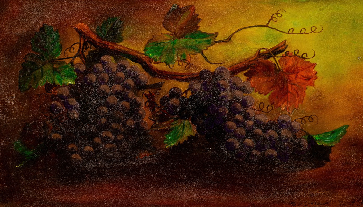 Sabrina Lathrop - Study of Grapes