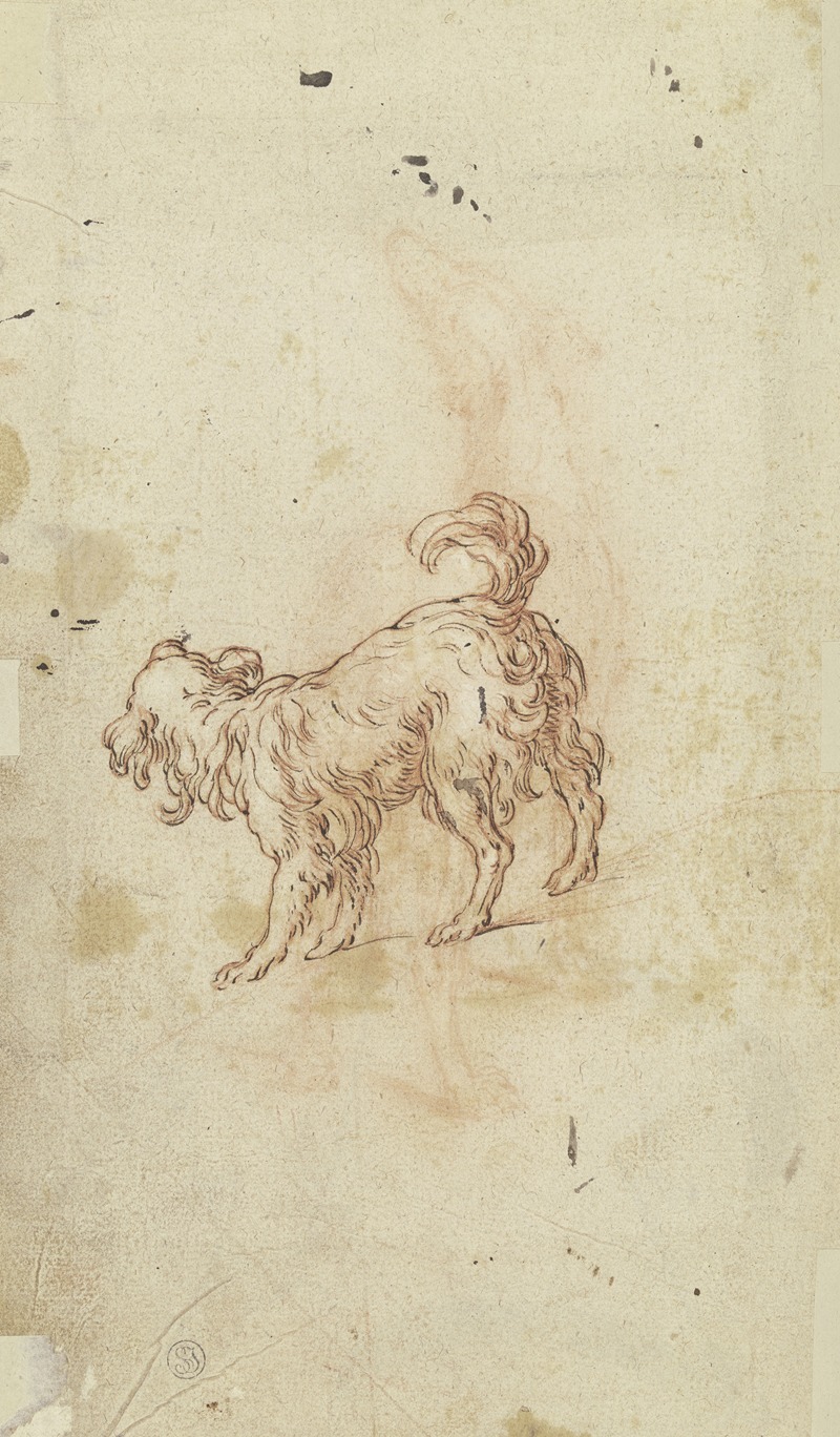 Abraham Bloemaert - Study sheet; two dogs