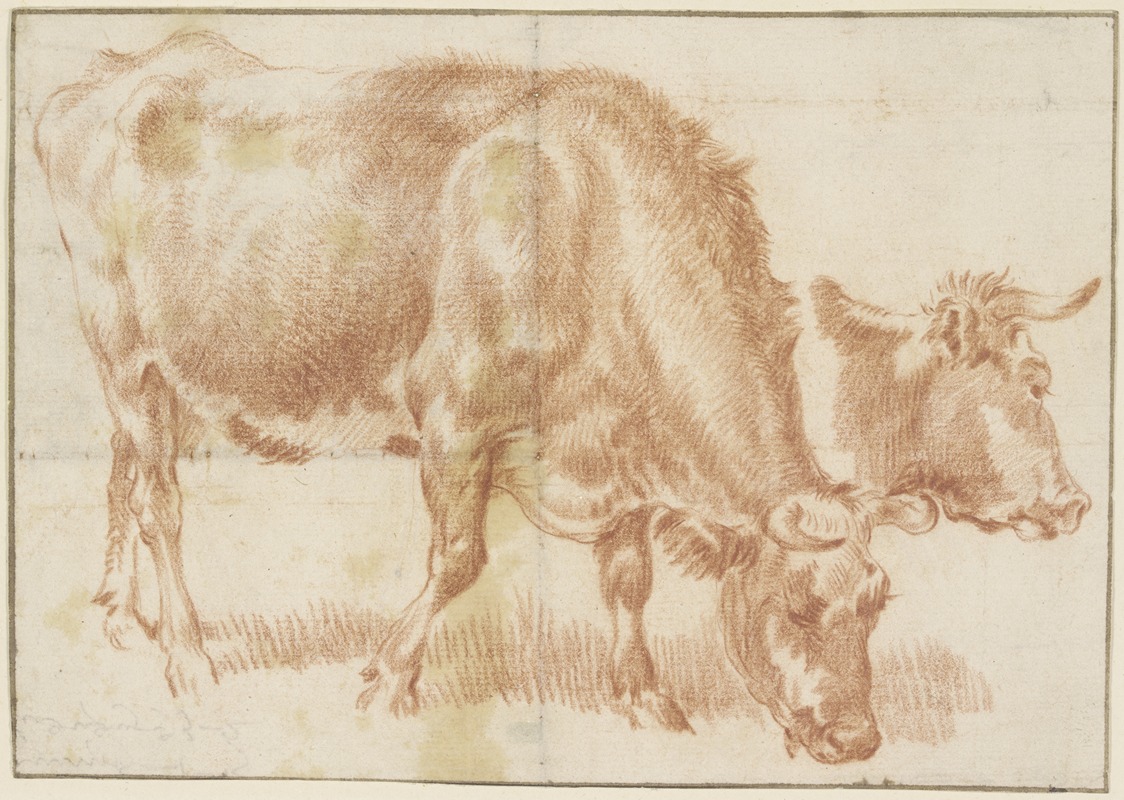 Adriaen van de Velde - Grasendes Rind, rechts daneben ein Rinderkopf