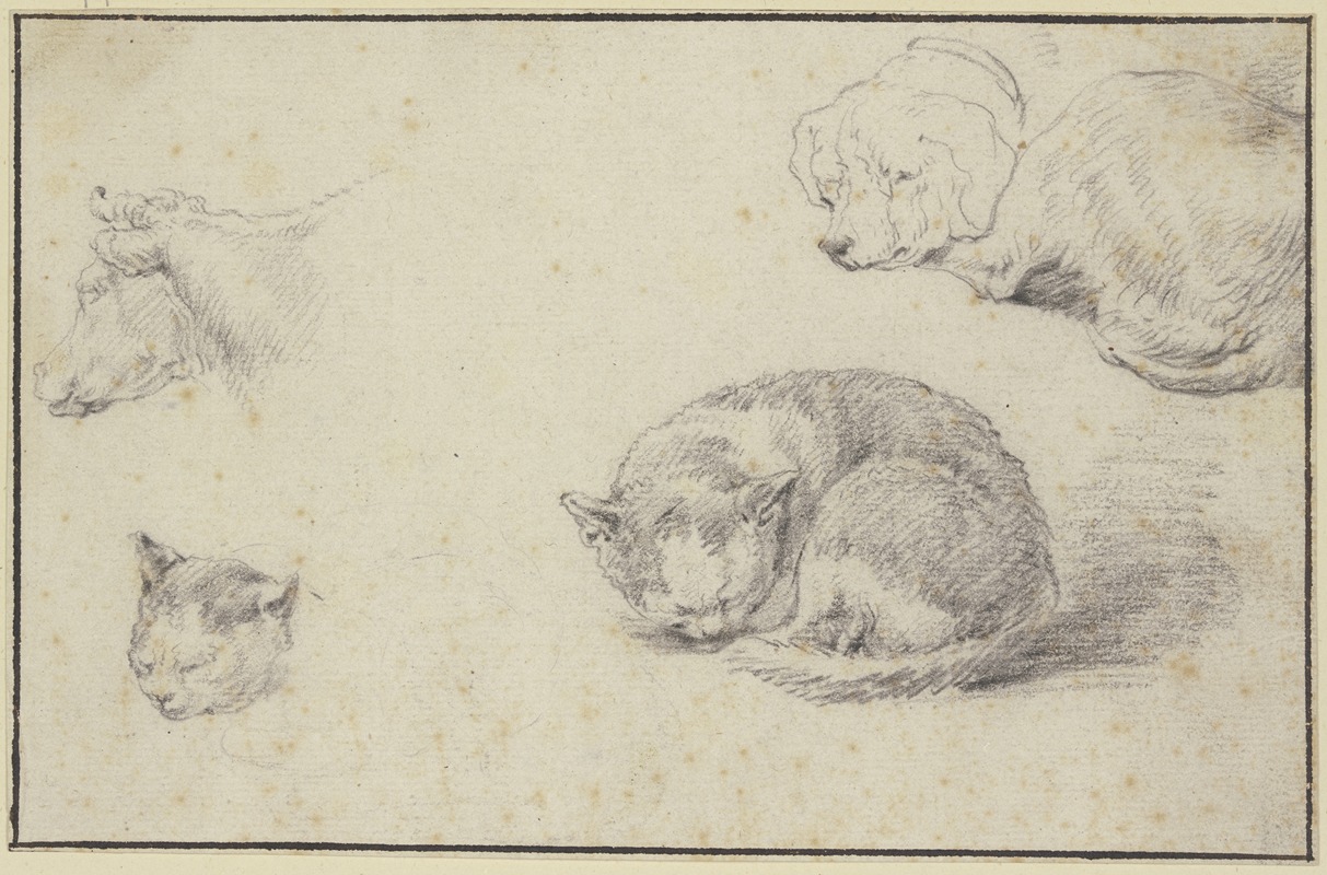 Aelbert Cuyp - Schlafende Katze und Hund, ein Kuhkopf und ein Katzenkopf