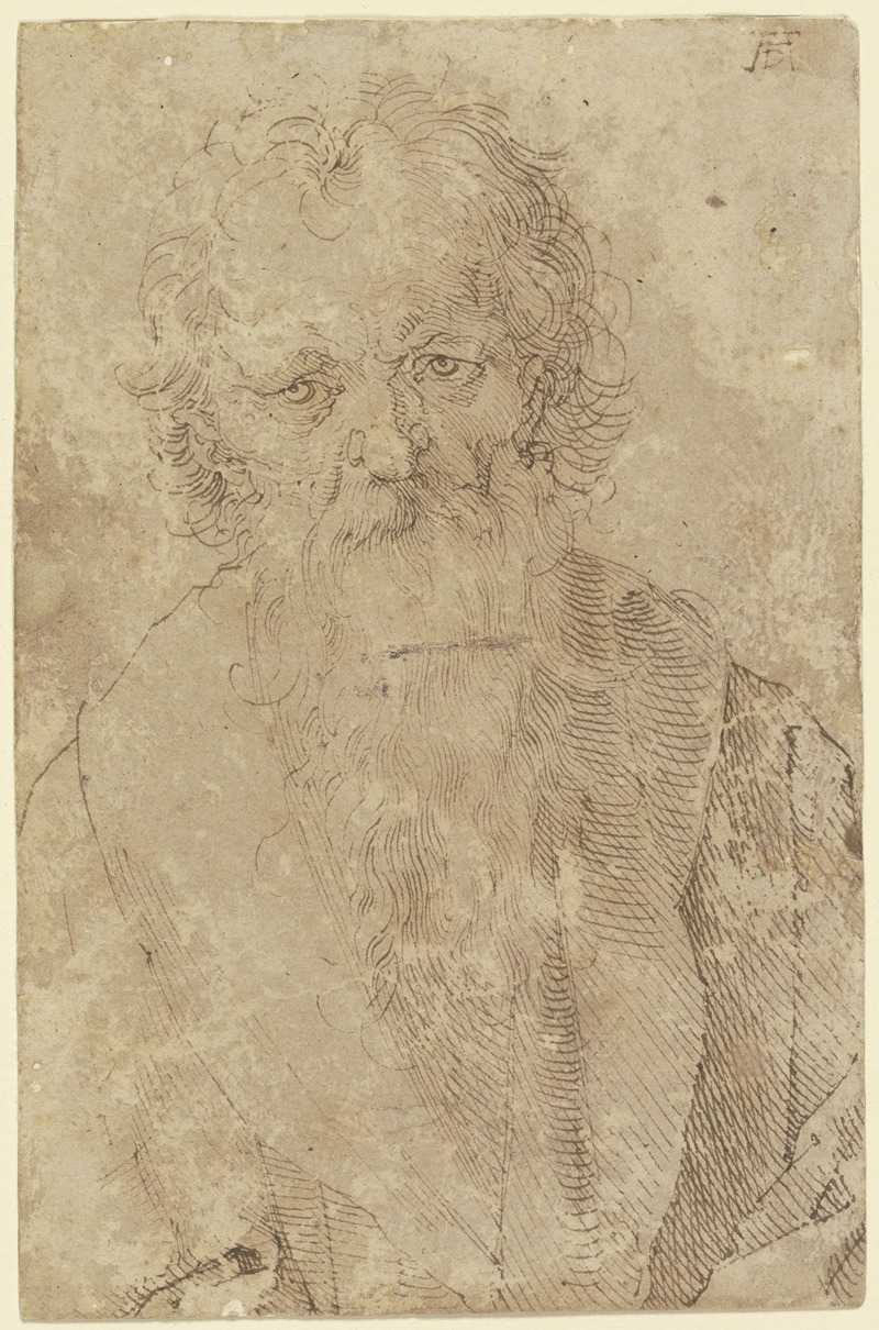 Albrecht Dürer - Bearded old man