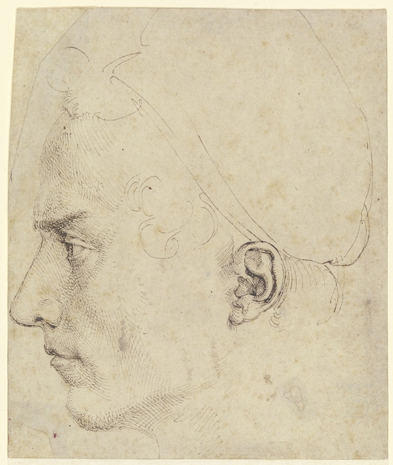Albrecht Dürer - Male head in profile