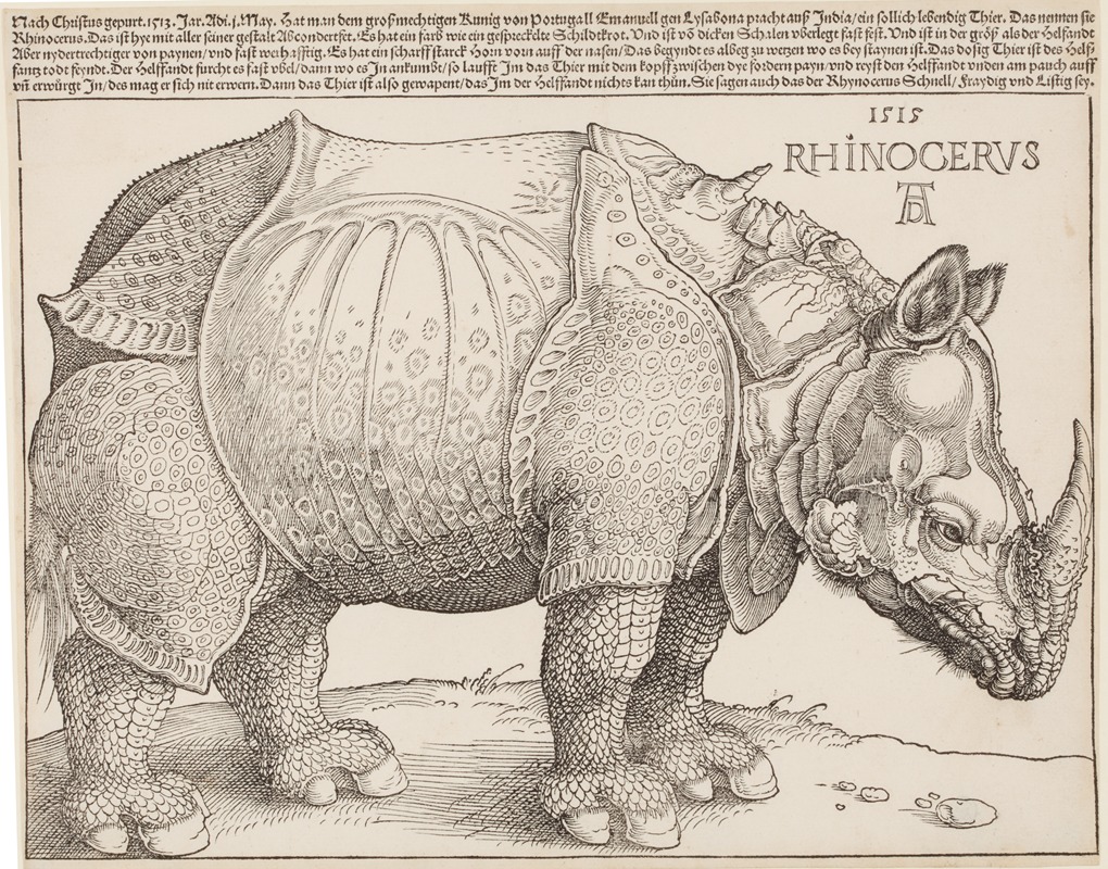Albrecht Dürer - Rhinocerus (Das Rhinozeros)