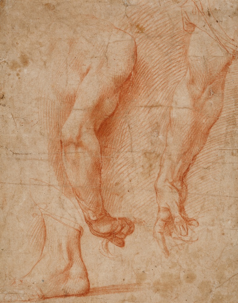 Andrea del Sarto - Studien von zwei Armen und eines Fußes