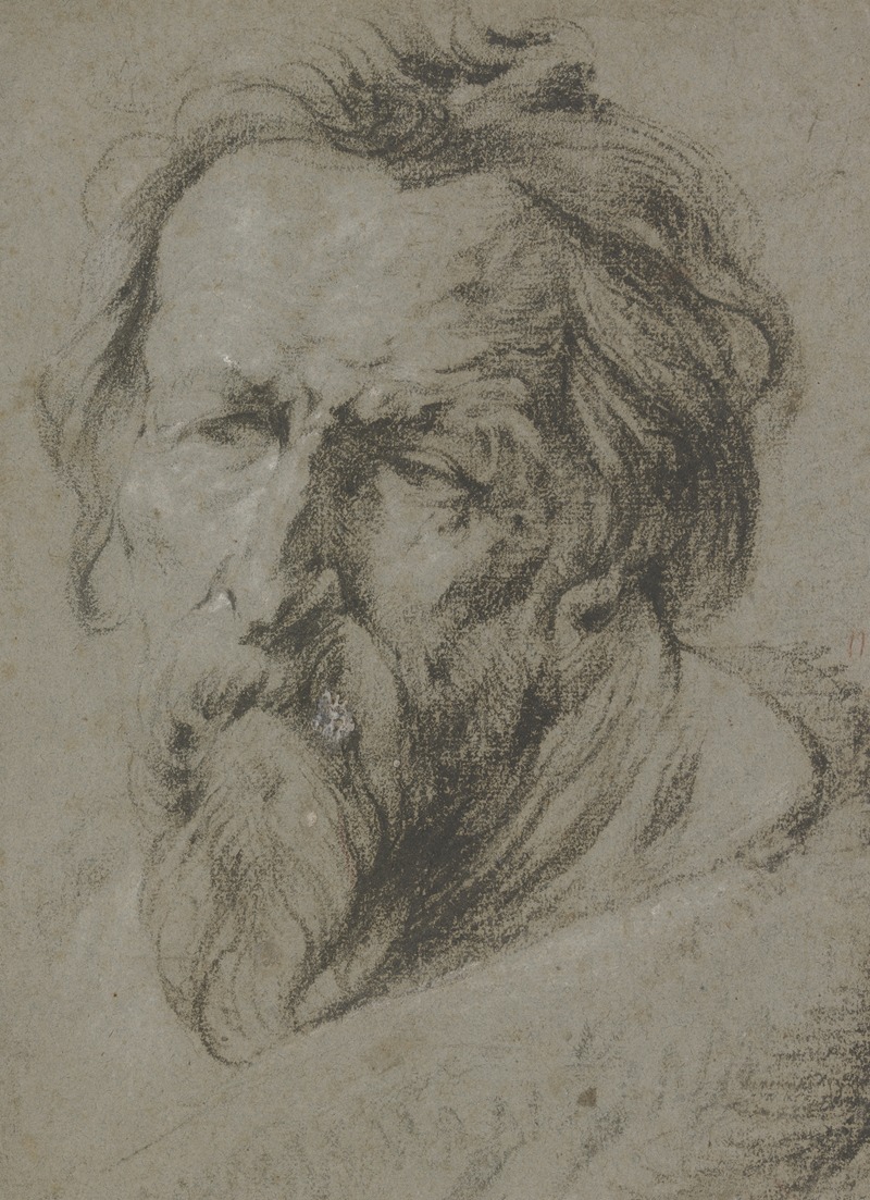 Anthony van Dyck - Kopf eines bärtigen Alten nach links