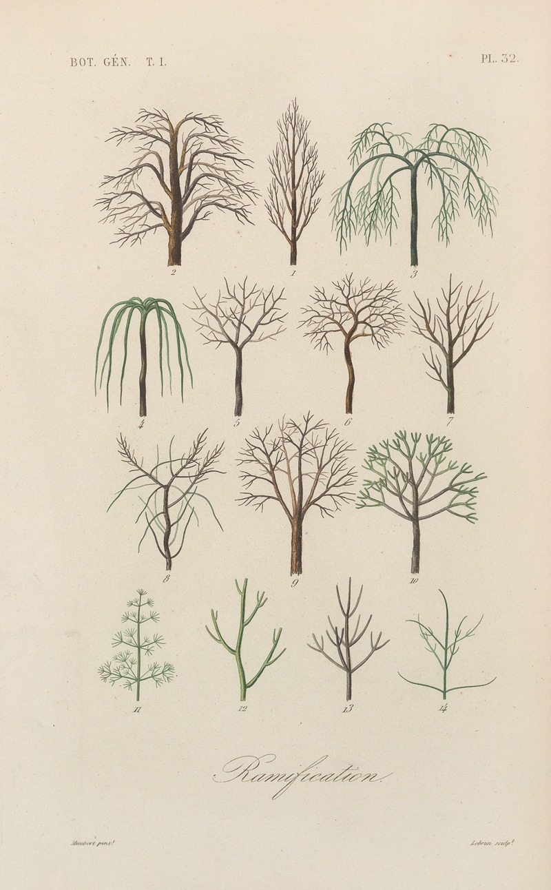 François Hérincq - Traité de botanique générale Pl.033