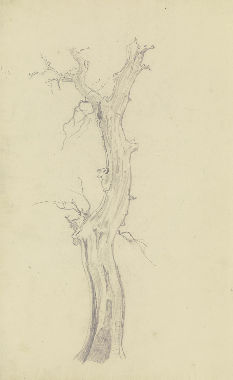 August Lucas - Leafless tree