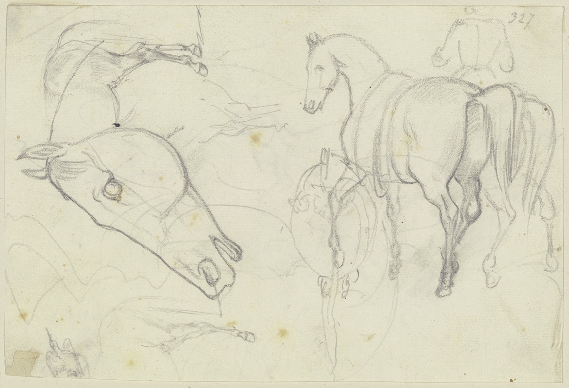 August Lucas - Studies of horses