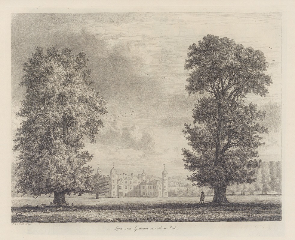 Jacob George Strutt - The Sycamore and Lime in Cobham Park