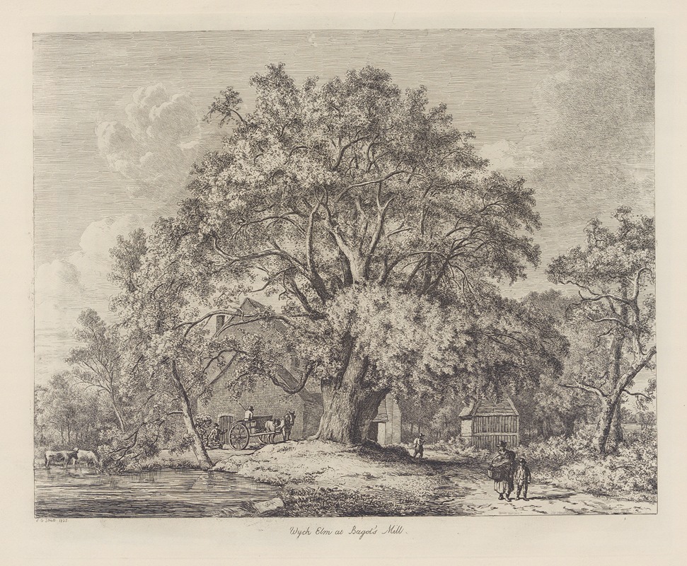 Jacob George Strutt - The Wych Elm at Bagot’s Mill