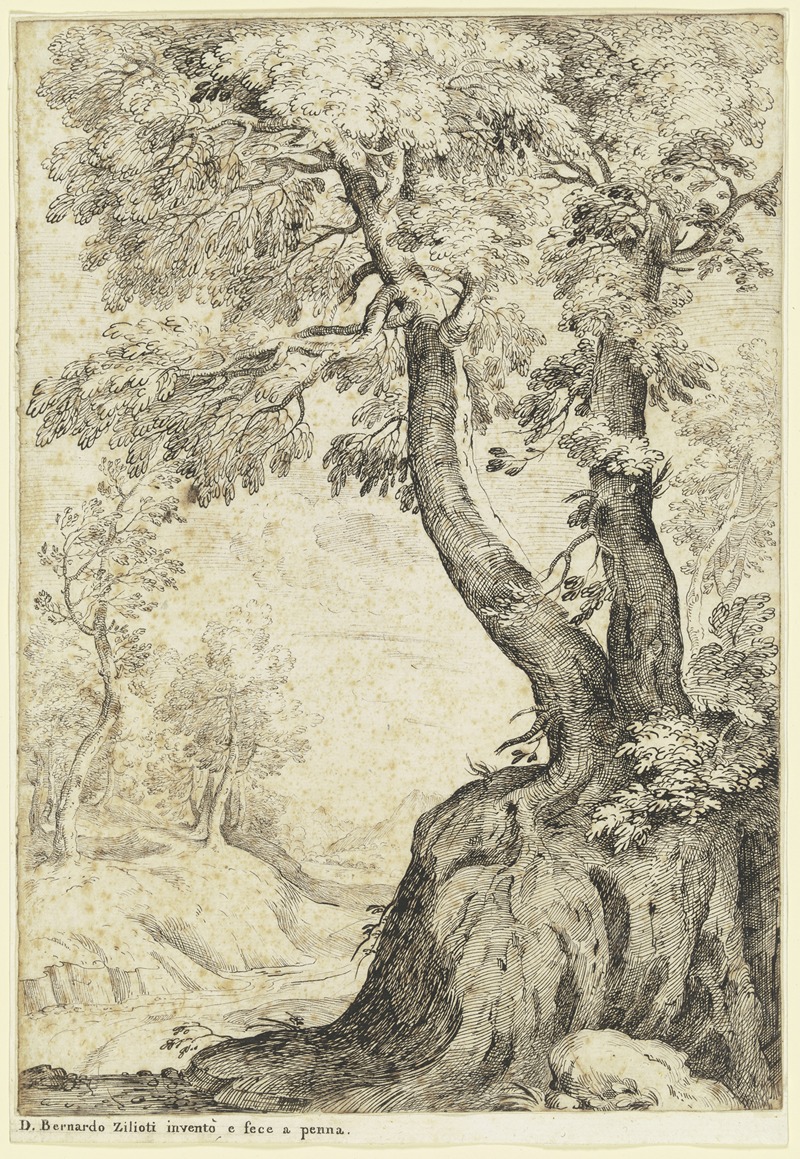 Bernardo Zilotti - Tree section