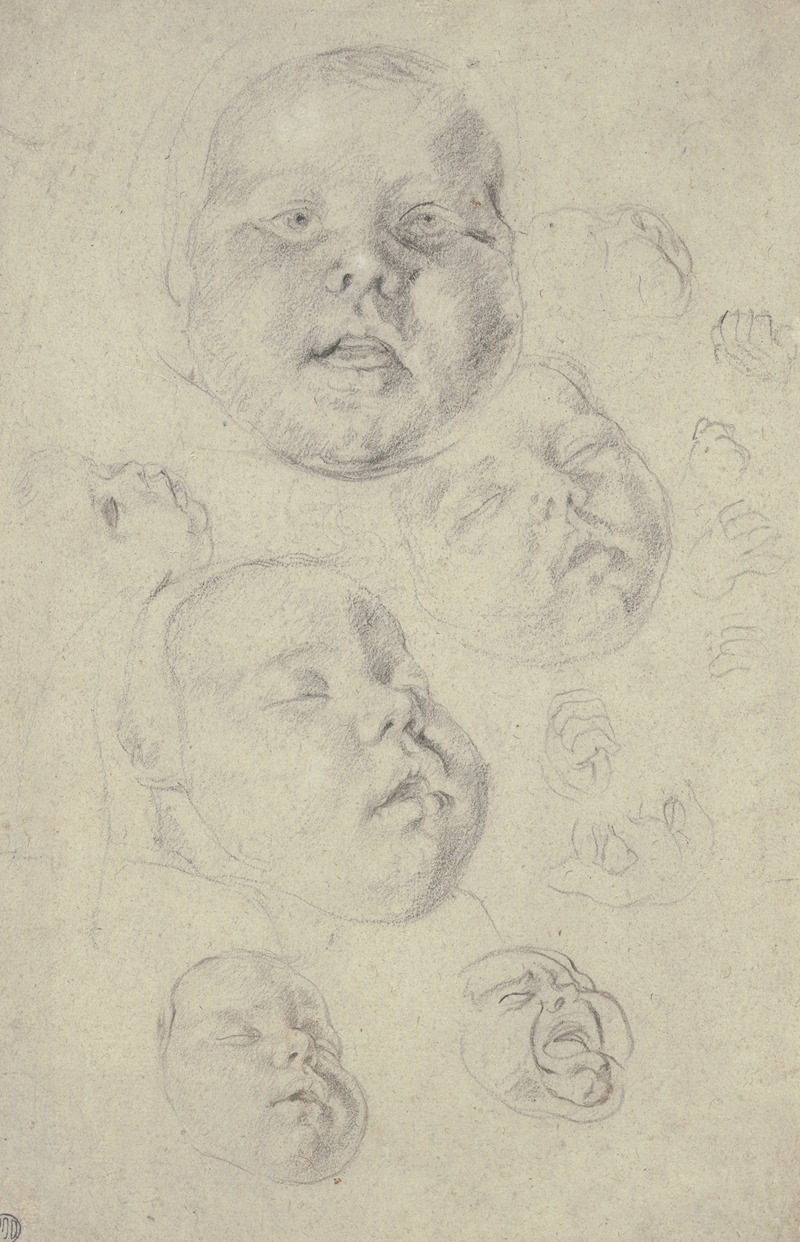 Cornelis de Vos - Studienblatt; Kopf und Hände eines Kleinkindes