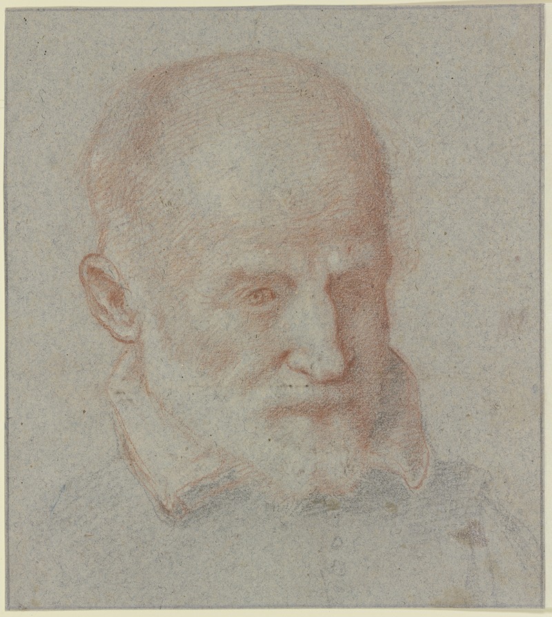 Cristofano Allori - Male portrait