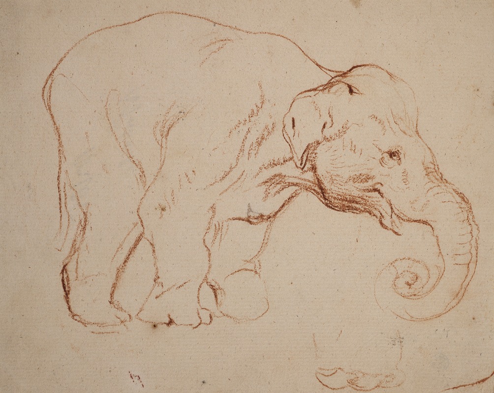 Daniel Nikolaus Chodowiecki - Standing elephant