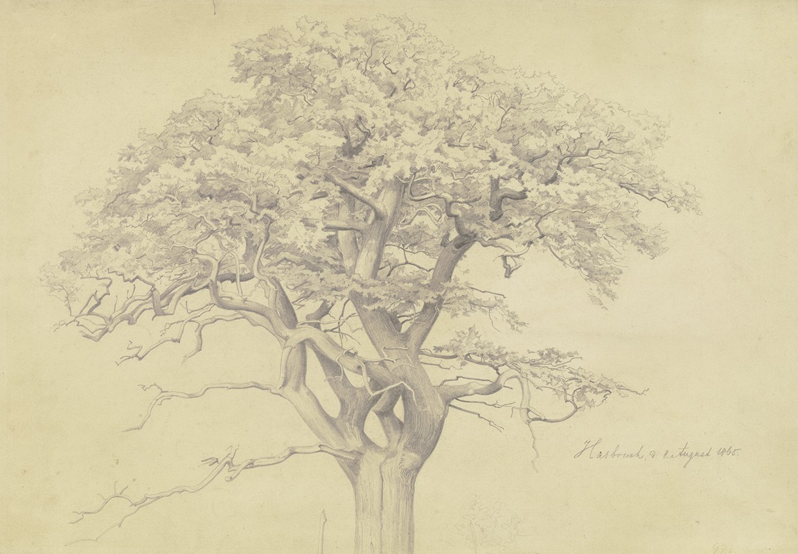 Edmund Kanoldt - Treetop