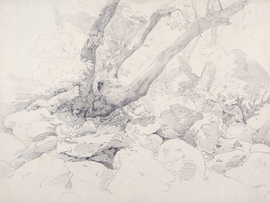 Ernst Fries - Verkrüppelter Baumstamm auf Felsen bei Ariccia