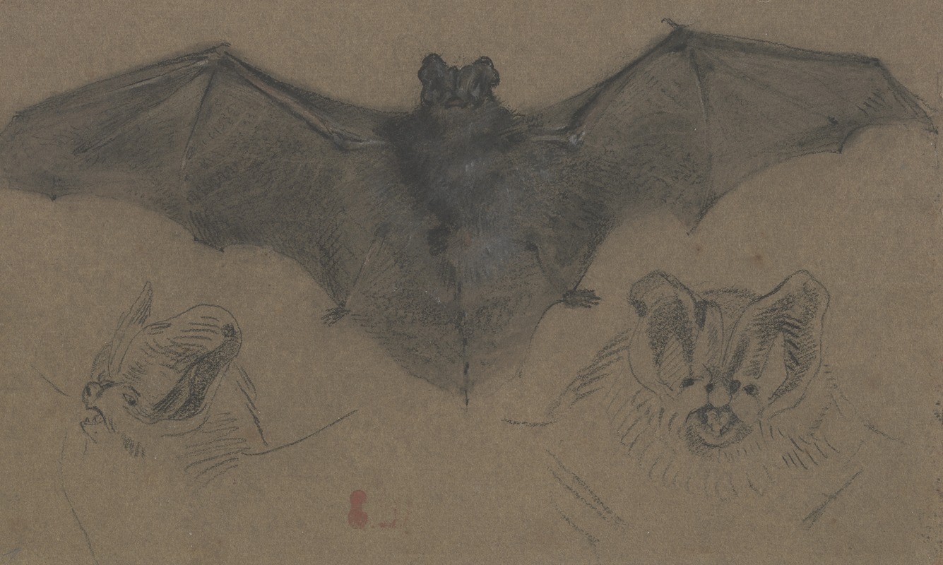 Eugène Delacroix - Bat