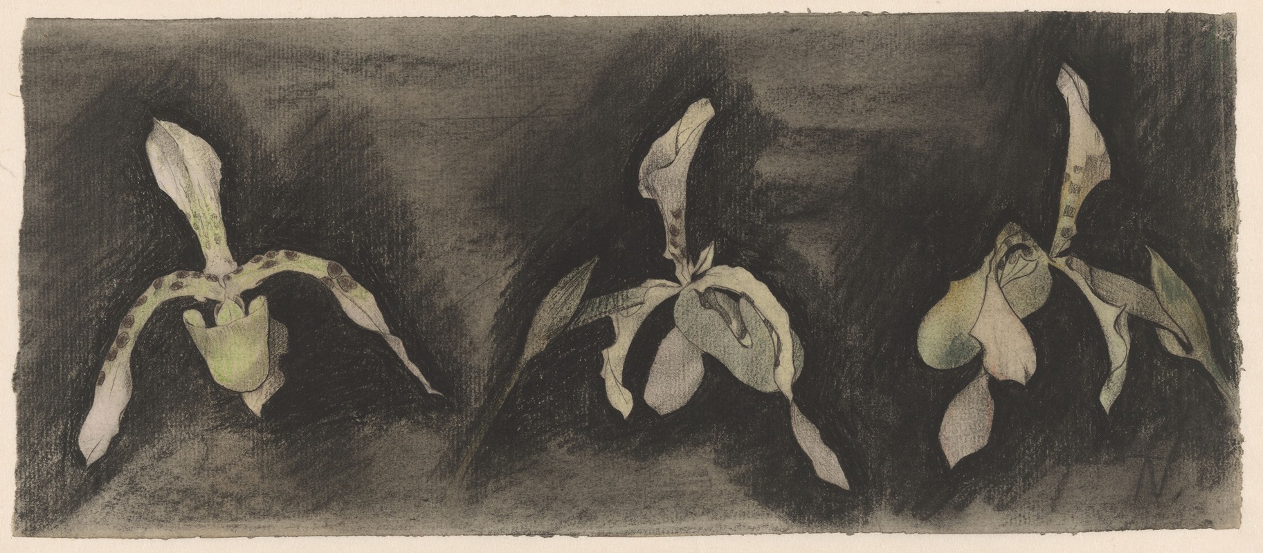 Theo Nieuwenhuis - Drie orchideeën