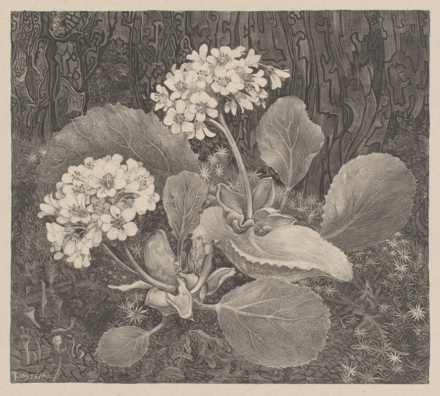 Theo van Hoytema - Primula in het mos