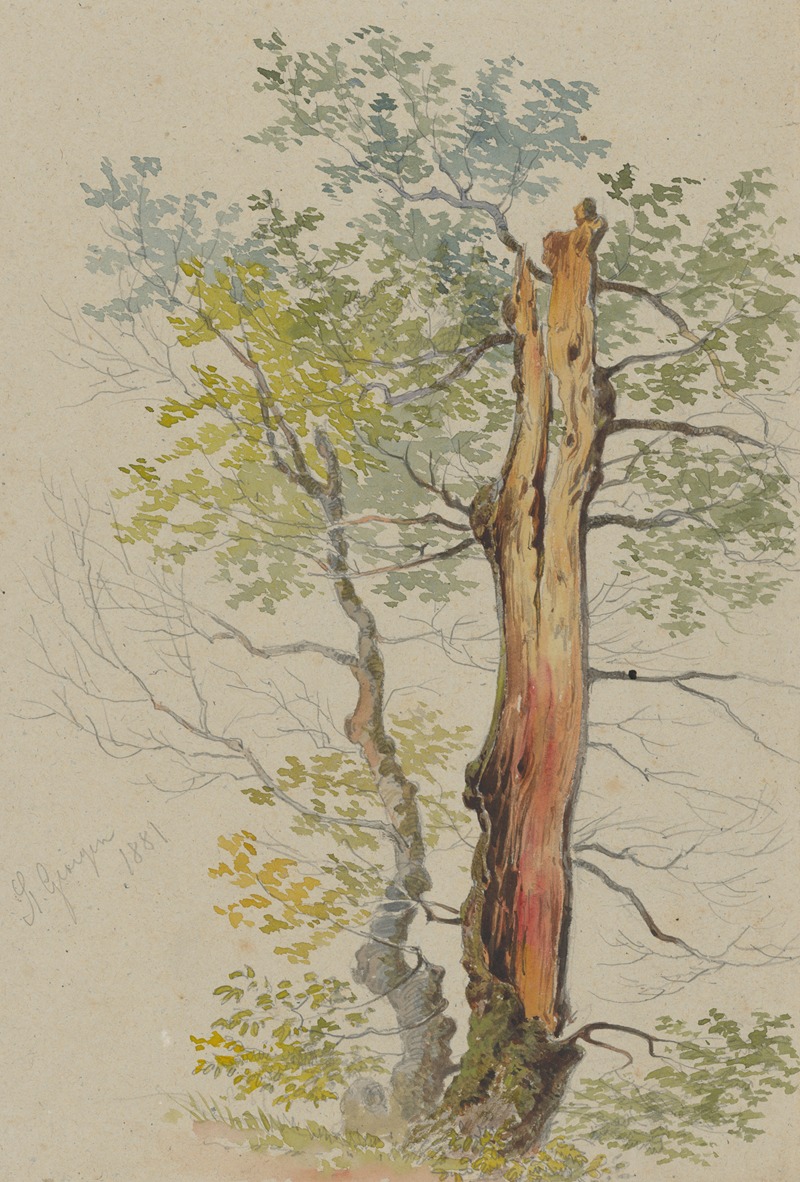 Friedrich Carl von Scheidlin - Study of Old and Young Tree
