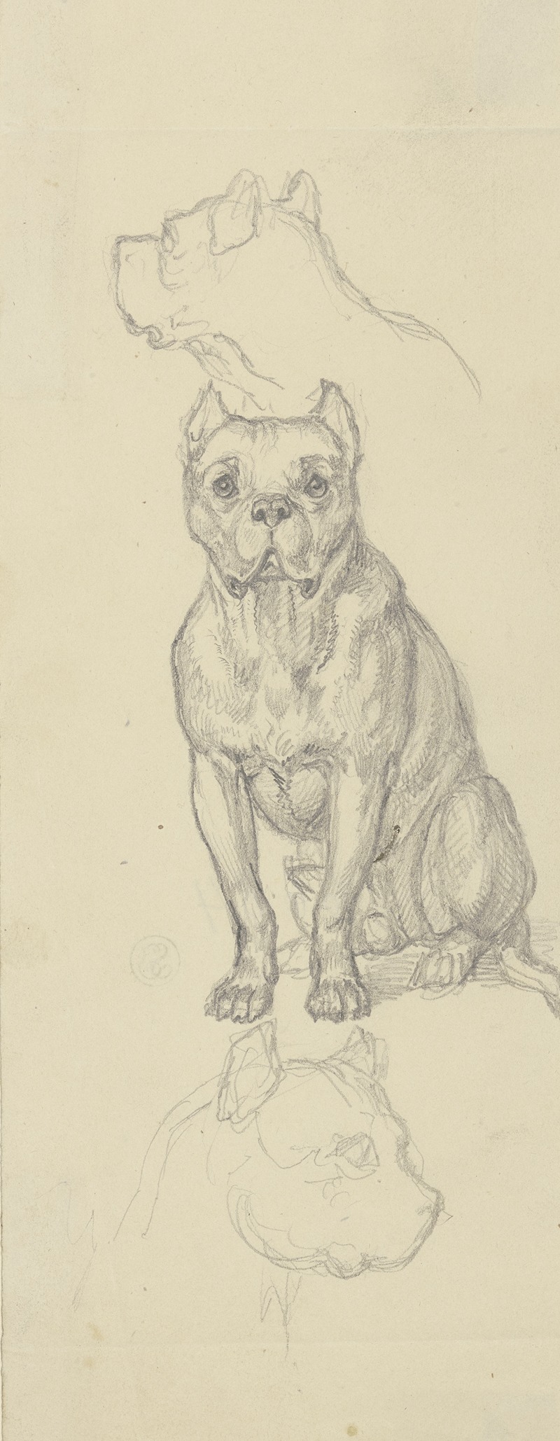 Ferdinand Fellner - Sitting dog, en face