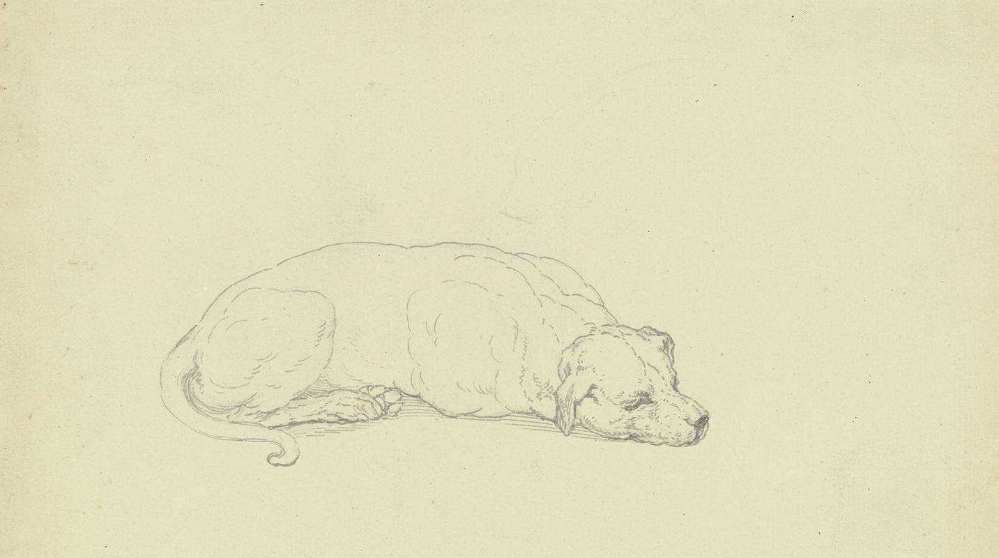 Ferdinand Fellner - Sleeping dog 2