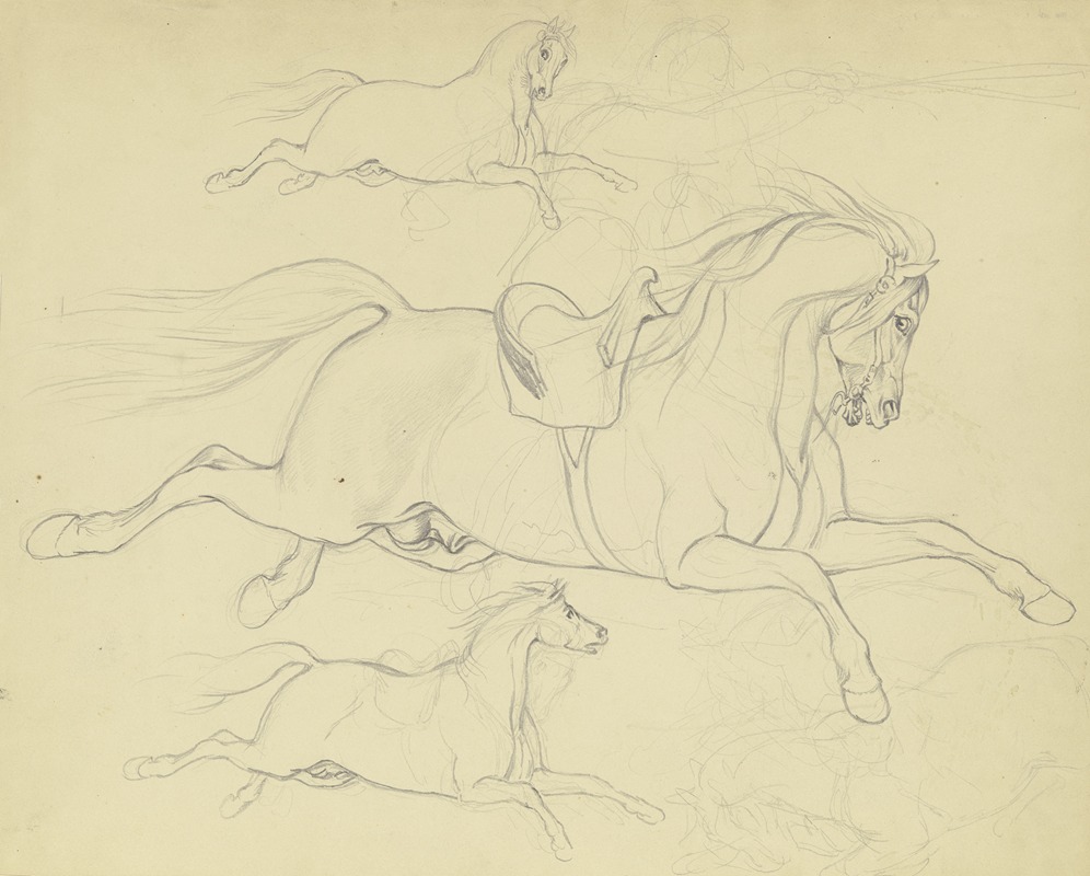 Ferdinand Fellner - Studienblatt; Drei Pferde im gestreckten Galopp nach rechts, eines mit Sattel und angedeutetem Reiter