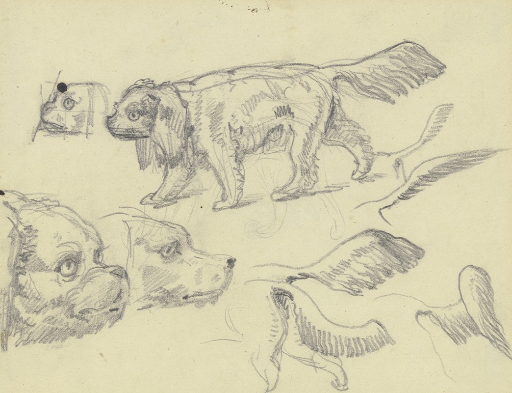 Ferdinand Fellner - Study sheet; Dogs