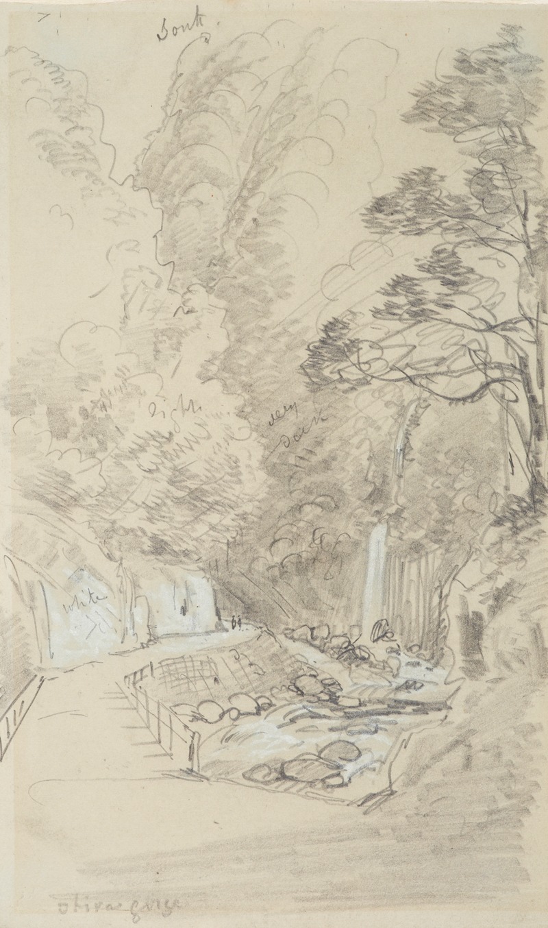 Nicholas Chevalier - Otira Gorge