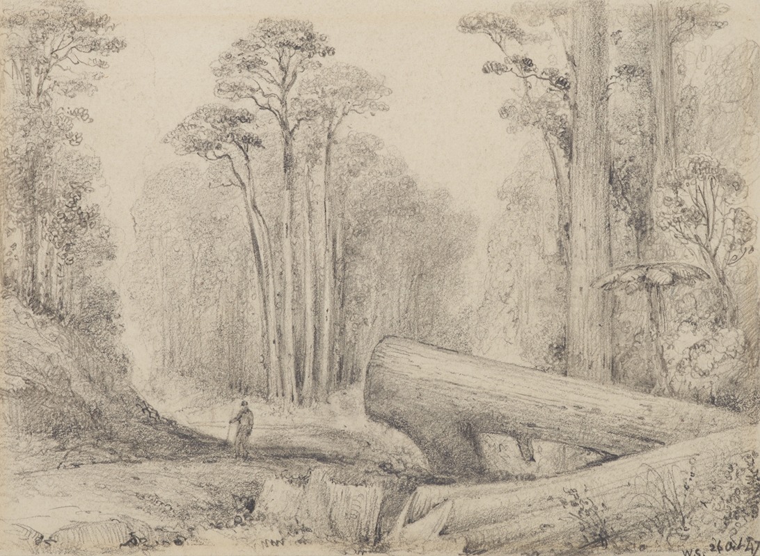 William Swainson - Hutt Road, round the first gorge, looking down