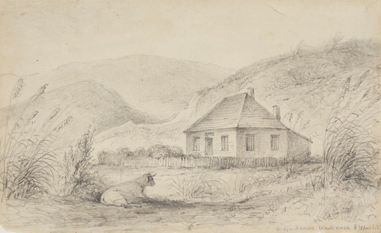 William Swainson - Major Durie’s, Waikanae