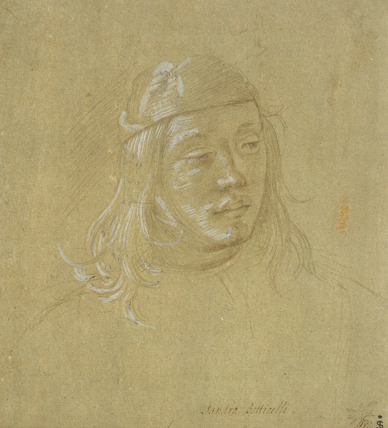Filippino Lippi - Bildnisstudie eines jungen Mannes