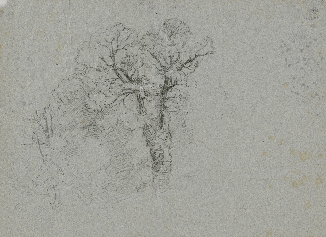 Friedrich von Nerly - Group of trees