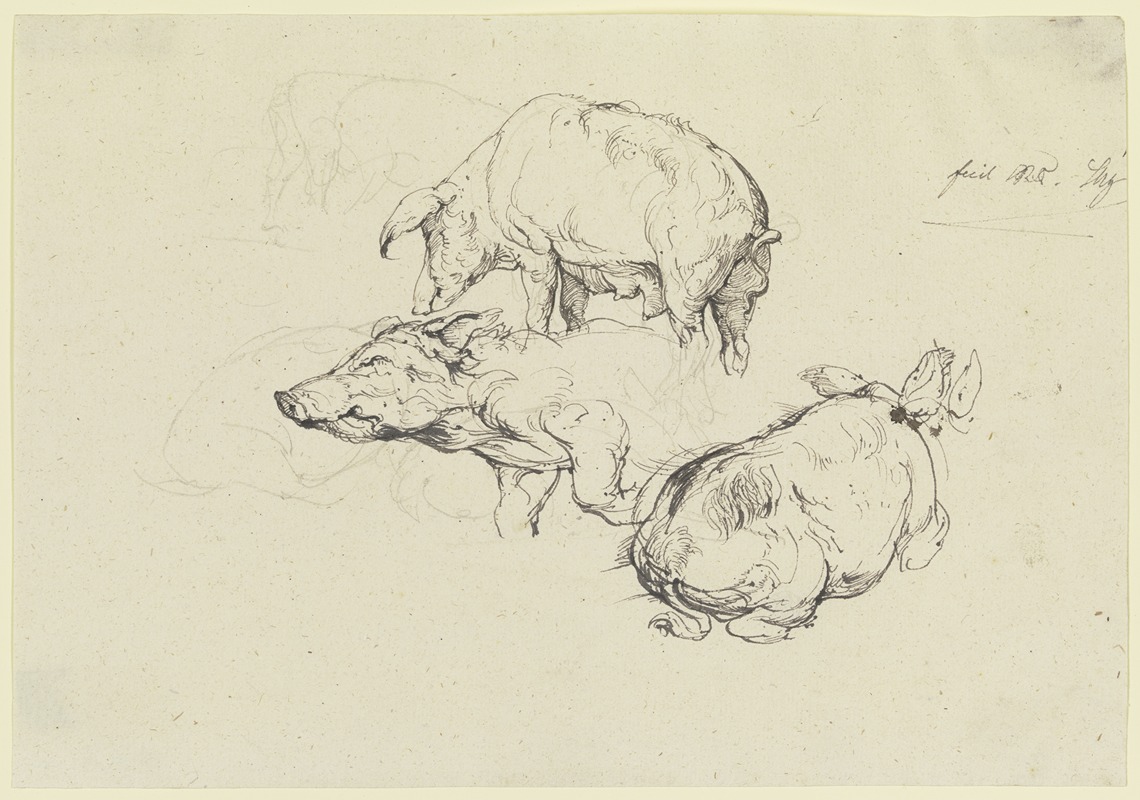 Friedrich von Nerly - Three pigs