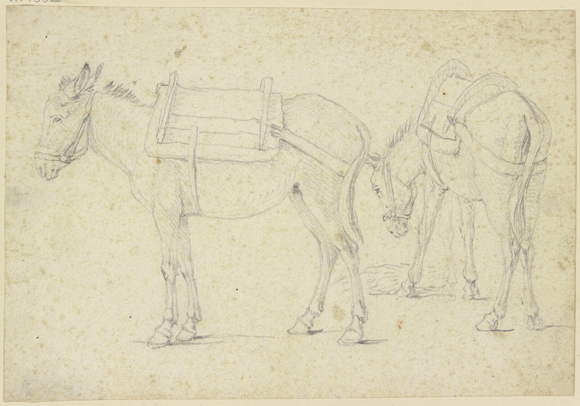 Georg Philipp Rugendas the Elder - Two bridled donkeys