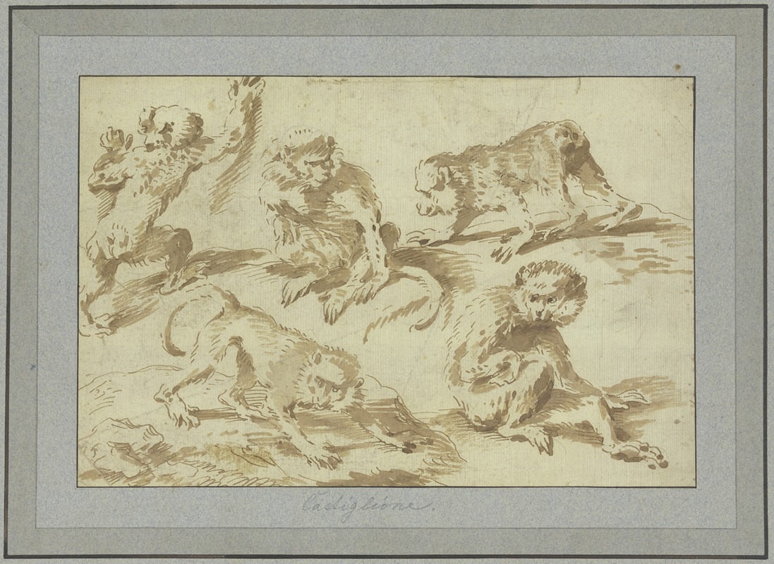 Giovanni Benedetto Castiglione - Fünf Affen in verschiedenen Stellungen