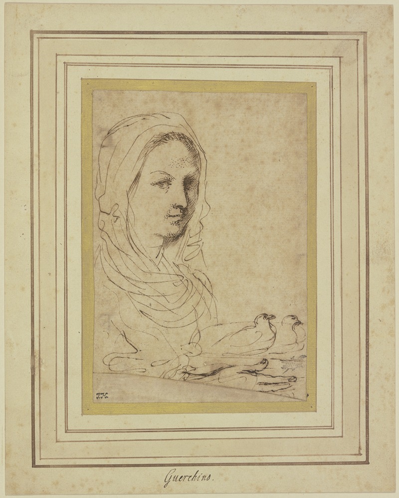Guercino - Brustbild eines Mädchens, zwei Tauben tragend