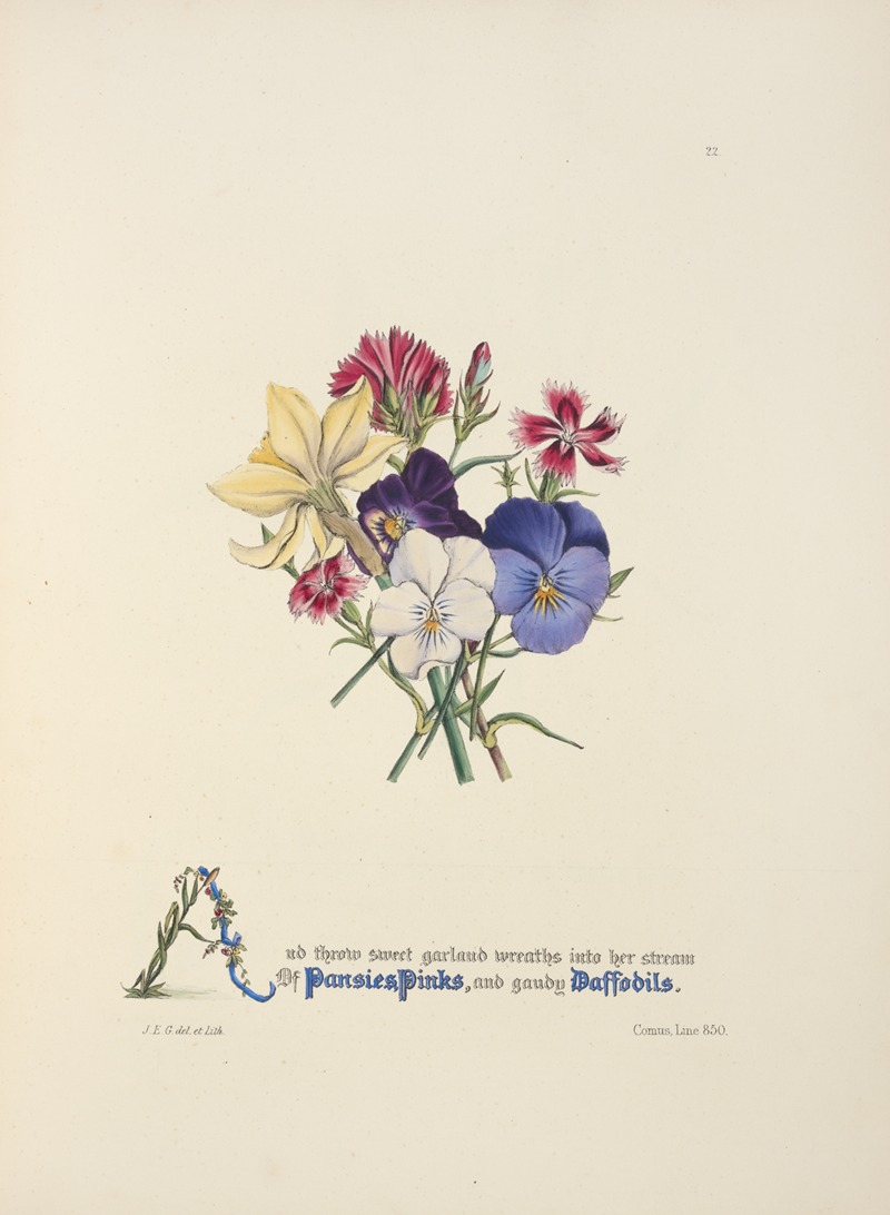 Jane Elizabeth Giraud - Pansies, pinks and daffodils