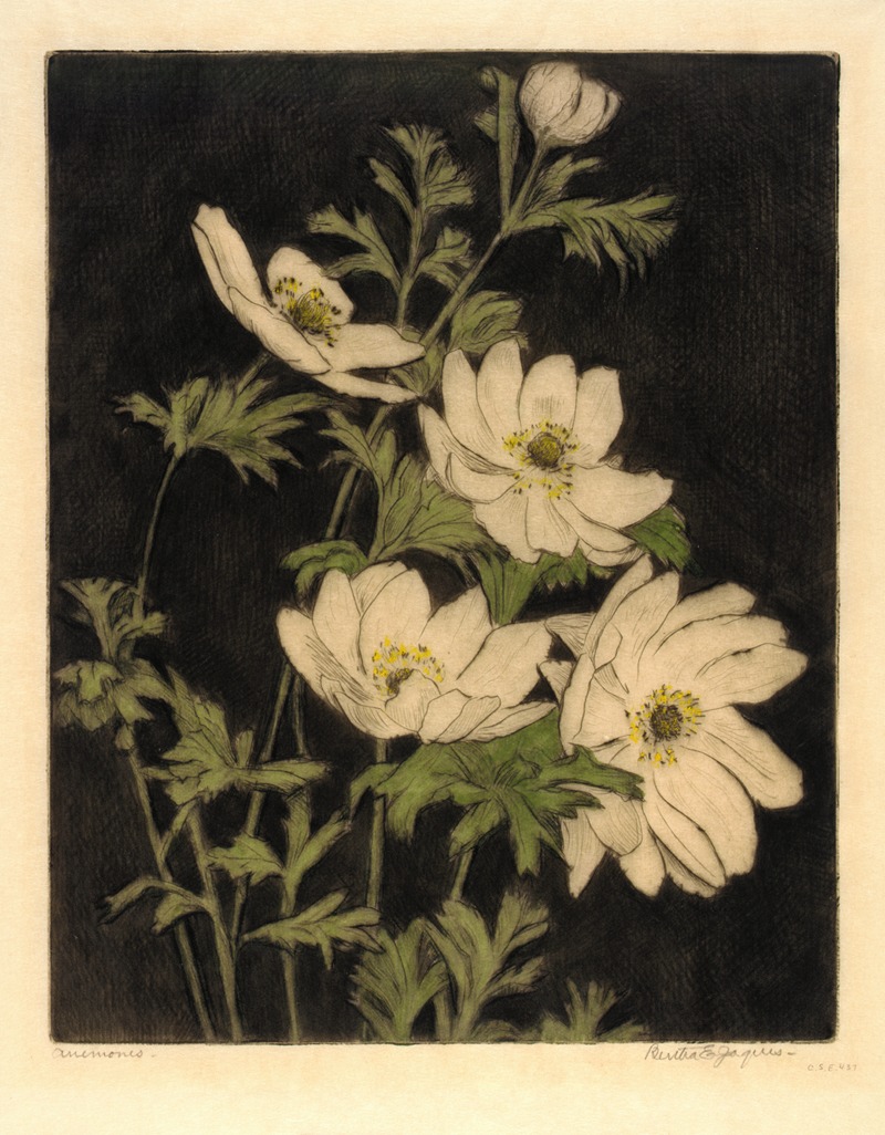 Bertha E. Jaques - Anemones